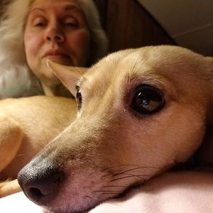 Meet your Posher, Tonya